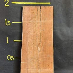 Larch