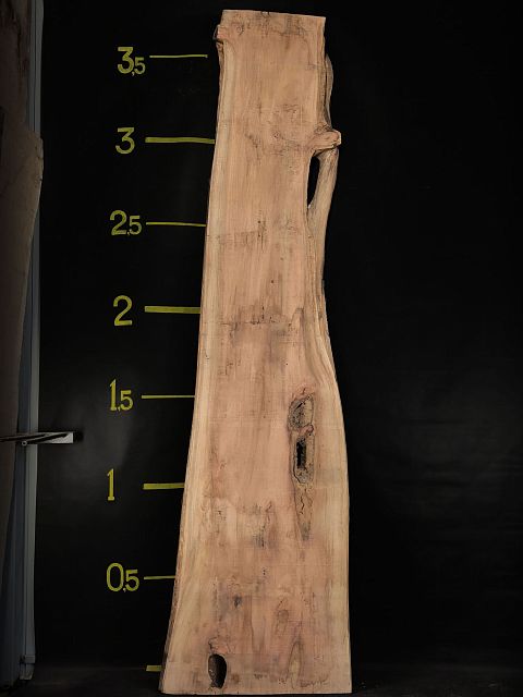 Coast redwood slab