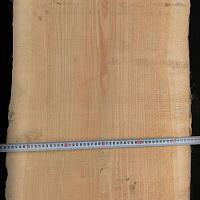 Акация slab — photo 5