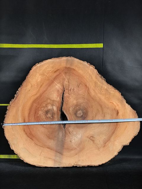 Камфарное дерево slab