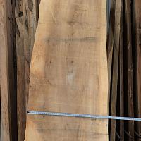 Dawn redwood slab — photo 2