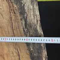 Deodar cedar slab — photo 4