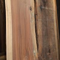 Coast redwood slab — photo 5