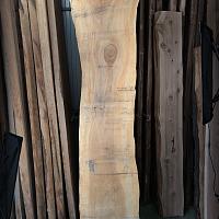 Dawn redwood slab — photo 4