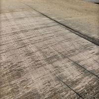 Sessile oak slab — photo 1