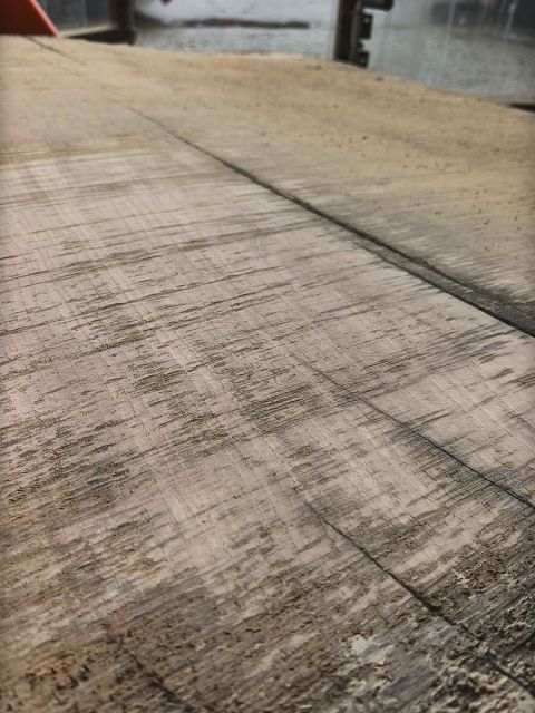 Sessile oak slab