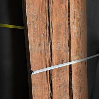 Eucalyptus slab — photo 6