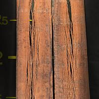 Eucalyptus slab — photo 3