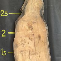 Սլեբ՝ հիմալայան մայրի — լուսանկար 3