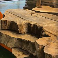 English oak slab — photo 1