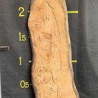 Deodar cedar slab — photo 1