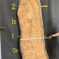Deodar cedar slab — photo 2