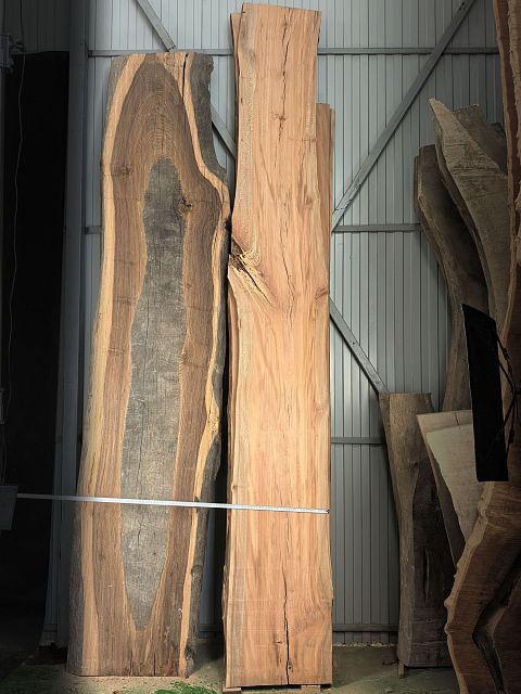 Oriental plane slab