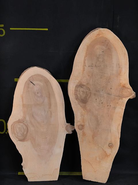 Dawn redwood slab