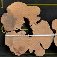 Sweet chestnut slab — photo 2