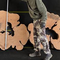 Sweet chestnut slab — photo 1