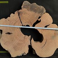 Sweet chestnut slab — photo 3