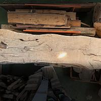 Սլեբ՝ ամառային կաղնի — լուսանկար 2