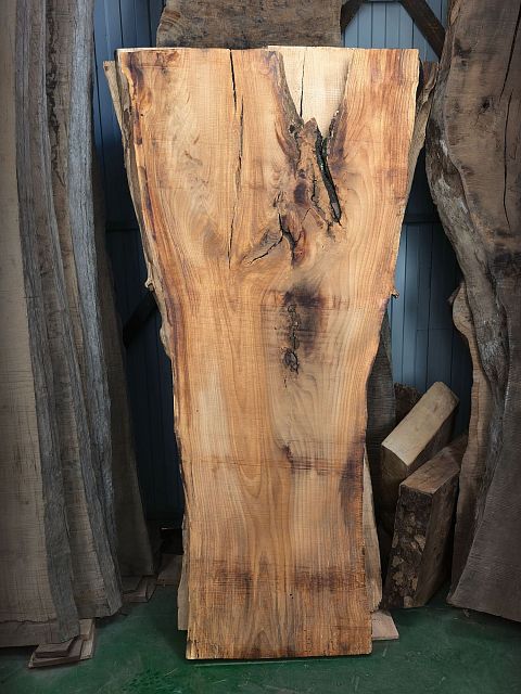 Слэб: Магнолия
