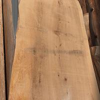 Dawn redwood slab — photo 3