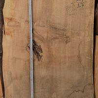 Dawn redwood slab — photo 4