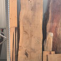 Dawn redwood slab — photo 1