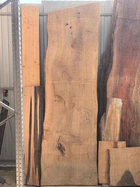 Dawn redwood slab