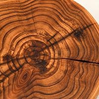 Ձեռագործ սեղանիկ ճապոնական կրիպտոմերիայից «Սուգի. Ժամանակի օղակներ» — լուսանկար 6