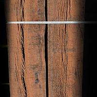 Eucalyptus slab — photo 4